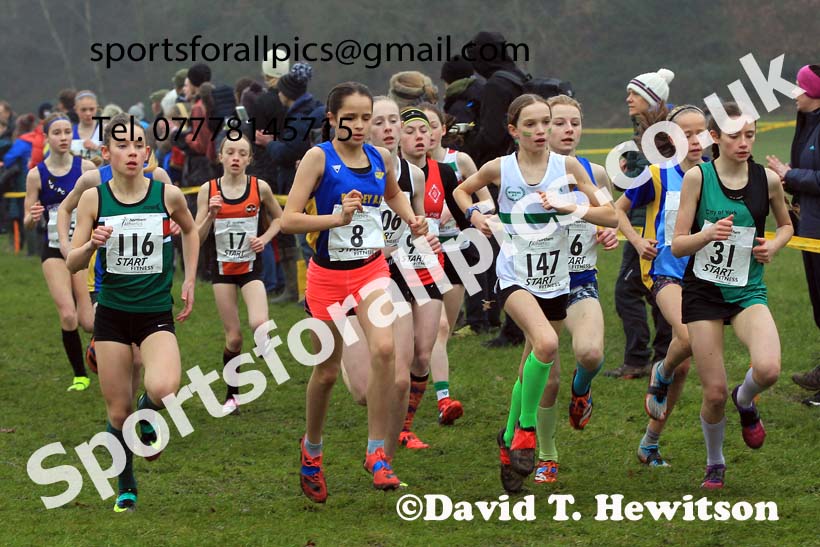 Girls Under-13s 2023 Northern Cross Country Champs., Witton Park, Blackburn. Photo: David T. Hewitson/Sports for All Pics